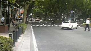 緑のトンネルの様な通り