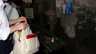 お金が増えますようにと心から祈りました