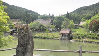 見応えあります