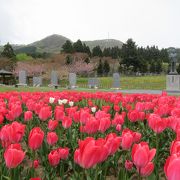 書家の妙跡を碑に刻む一大モニュメント群