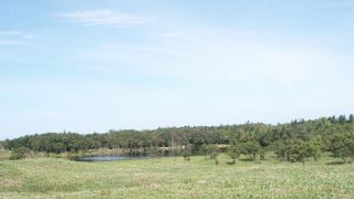 ヒグマの生息地