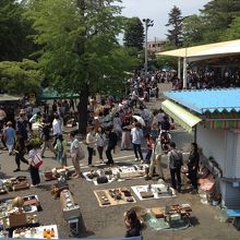 じっくり探そう