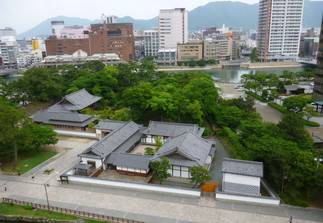 展望台からの景色