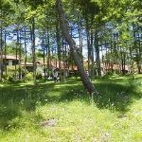 スタッフの対応がいい