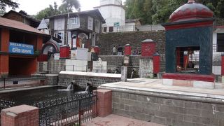 朝のお散歩に最適、適度な運動になります。