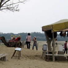 「写真を撮るのも有料」