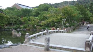 大きな枝垂桜！