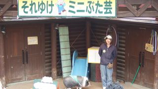 ソーセージ作り