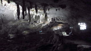 無数の鍾乳石が天井から垂れ下がる