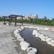 ミュンヘン大橋の近くの楽しそうな公園