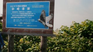 野鳥愛好家たちに人気