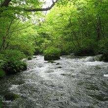 川の流れと新緑が美しい！