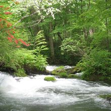 川の流れとヤマツツジです。