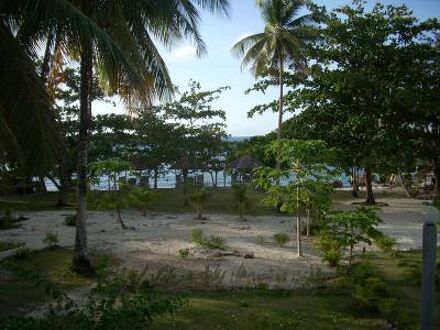 Bohol's Dapdap Beach Resort 写真