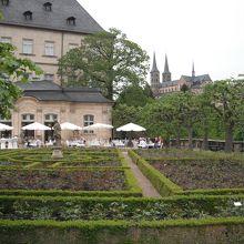 バラ園。花はまｄまだ。