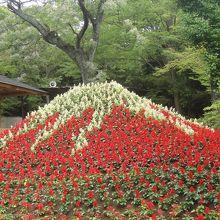 花で形取られた赤富士