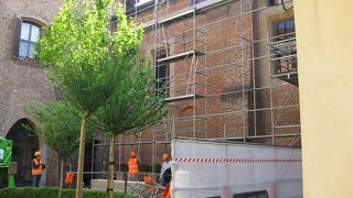 ぜひ双眼鏡を！！