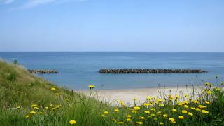 海がとっても綺麗