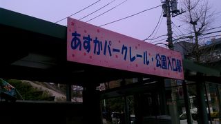 お花見に良いですよ