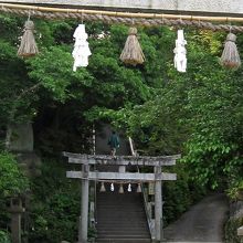 男性が石段を上って行きました