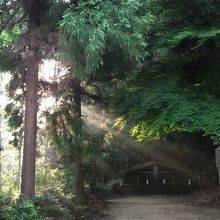 朝日が差し込む境内