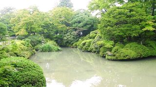 チン・・紅葉の時期では無かったので