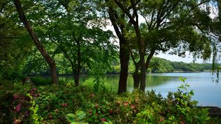 いつでも季節を問わず楽しめます。