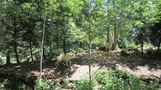 ウッドランド パーク動物園