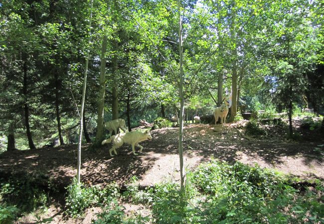森の中の動物園 ウッドランド パーク動物園 クチコミ・アクセス・営業時間