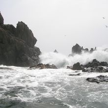 駐車公園からの眺め