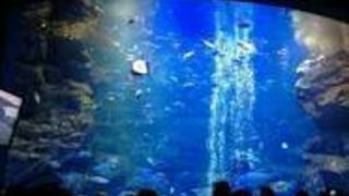 京都水族館行ってきた!!