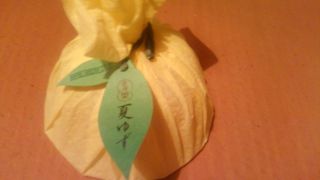 とっても感じの良い店員さんです。