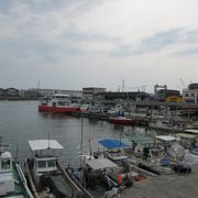 多度津港から高見島・佐柳島だけでは無く、岡山県笠岡諸島の白石島・北木島・真鍋島まで行けます