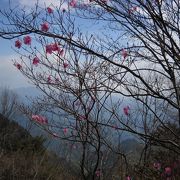 アクセスに難ありでも素晴らしい山☆