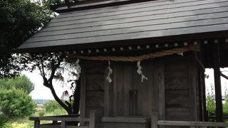 とても懐かしいです