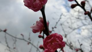 最も低い百名山