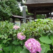 藁葺き屋根の山門が目印です