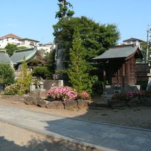 石塔・石仏が並んでました