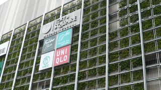 武蔵小杉駅直結ショッピングビル