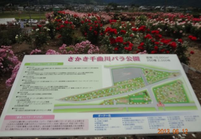 さかき千曲川バラ公園 クチコミ アクセス 営業時間 千曲 坂城 フォートラベル さかき千曲川バラ公園 クチコミ アクセス 営業時間 千曲 坂城 フォートラベル
