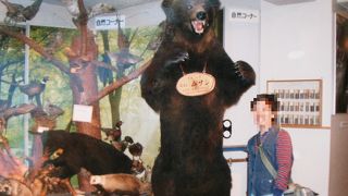 登別の歴史、自然が学べます