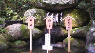 神秘の湧き水があります