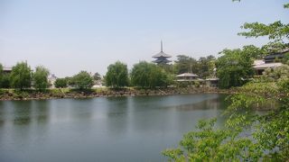 五重塔が見えます