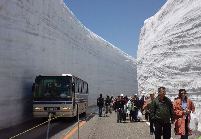 雪の壁+バスを一緒に撮るのが楽しい
