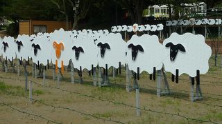 千葉の定番スポット☆