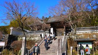 おもしろい顔の岩