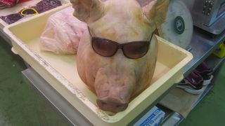 楽しかったー！