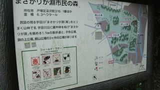 いやぁー・・ここヨコハマ！森林浴に・・