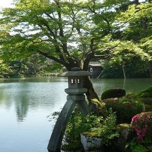 徽軫灯籠（ことじとうろう）兼六園のシンボルです