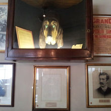 素敵なディスプレイ